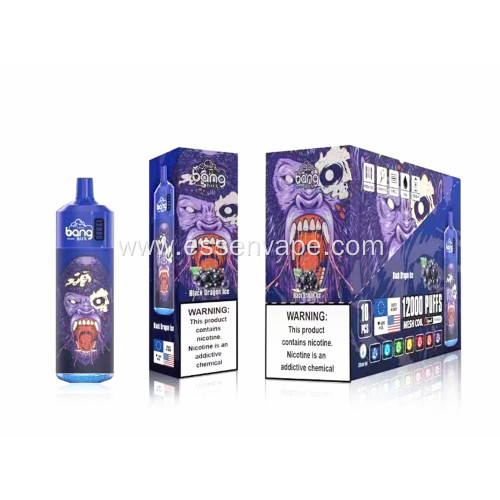 Wholesale Price Original Bang King 12000Puffs In Sweden